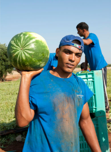 cCiro Quaranta Lavoratori stagionali a Nardo 390x533